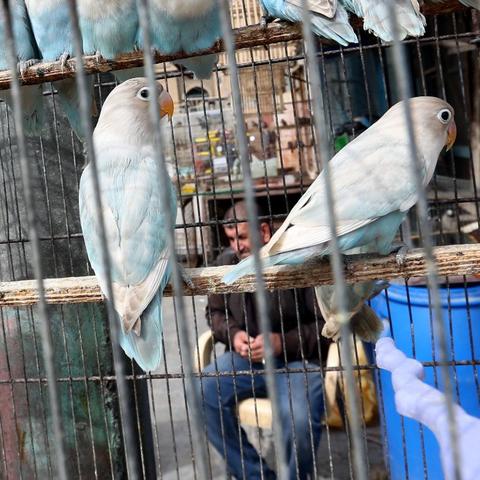 超好看的爱情电影全部长尾关键词