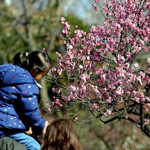 南京明天天气怎么样的