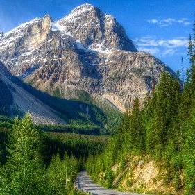 牛年十二生肖运势排名(牛年12生肖运势完整版)