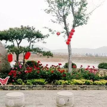 济南省邹城市相关长尾关键词有哪些