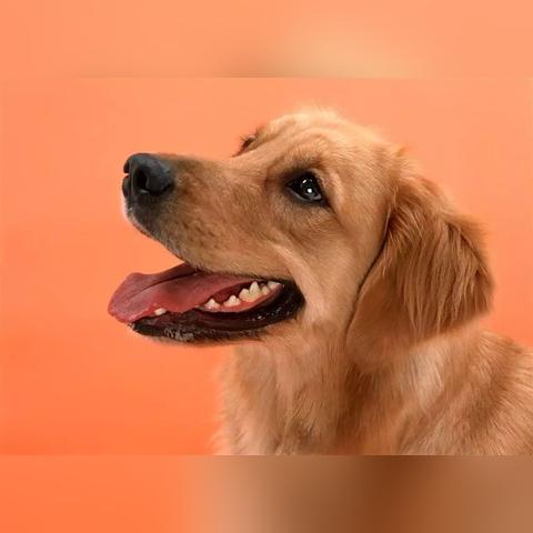 河南许昌靠近哪个省