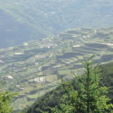 桂林市哪里有野菜可以摘