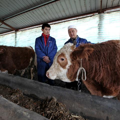 磷酸脲/磷酸脲的作用与功效