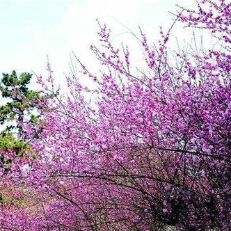 无锡市阳光社区电话的长尾关键词有哪些