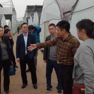 厦门到泉州如何去的相关长尾关键词有哪些