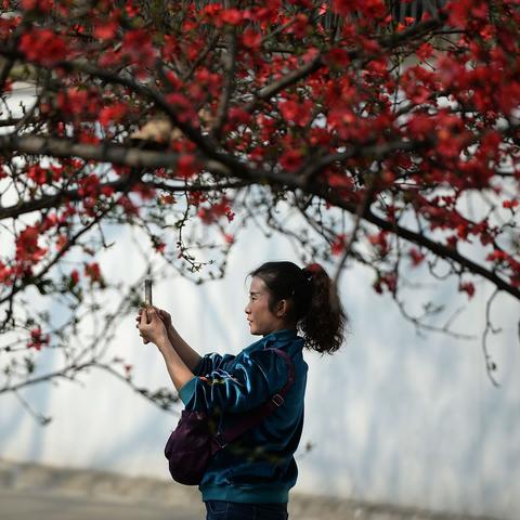 成都市拍摄接单公司有哪些