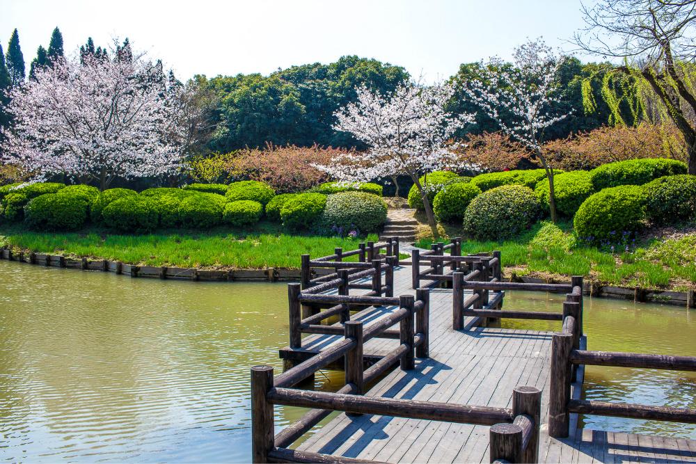 【排行】江苏旅游景点排行榜前十名