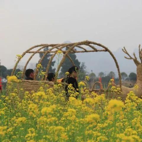 桂林市有什么聚会