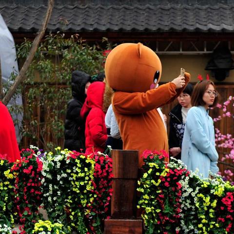 西安市诗经里在什么地方