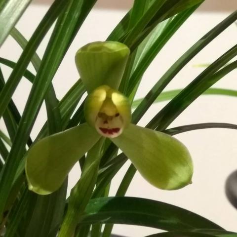 无锡市哪里有孔子的长尾关键词有什么