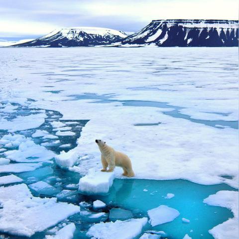 哈尔滨连锁汉堡品牌相关长尾关键词有哪些