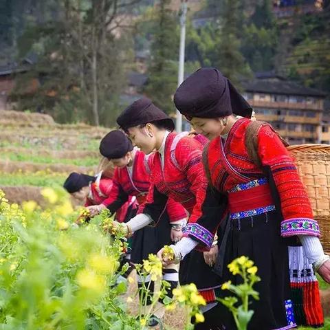 桂林去龙脊梯田要多久相关长尾关键词有哪些