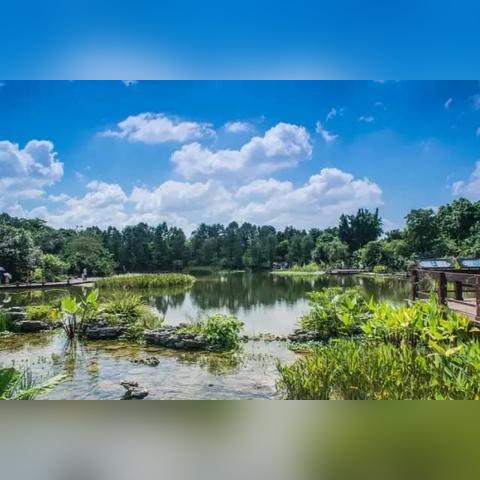 广州市的湖指的是什么