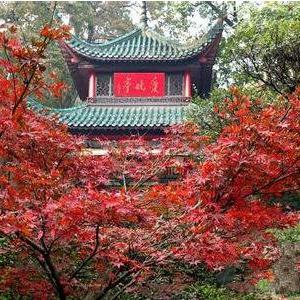 长沙到衡山汽车票相关长尾关键词有哪些