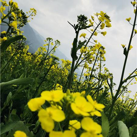 河南宇盛源的相关长尾关键词有哪些