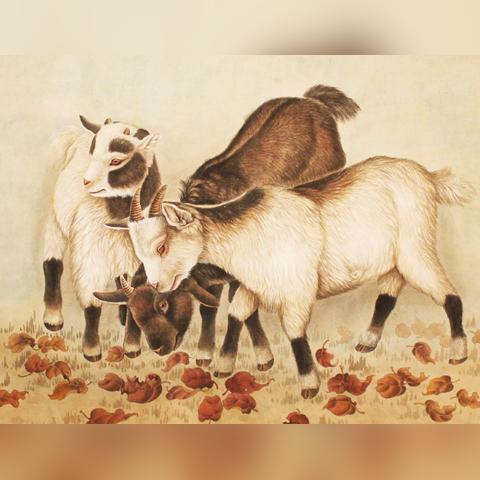 生肖兔的性格和运势女(兔生肖的性格与命运)