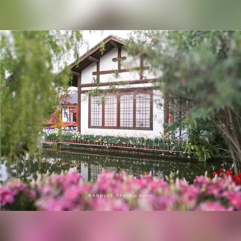 厦门市郁金香花园在哪里