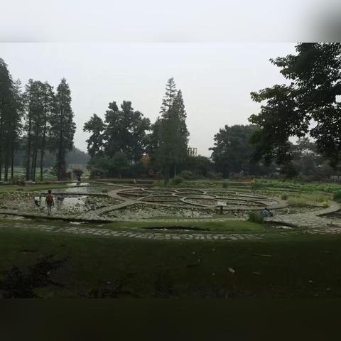 重庆大学城约会群的长尾关键词有什么