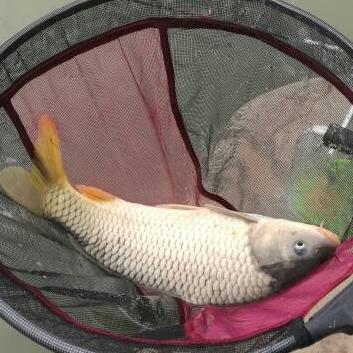 长沙西湖公园可以钓鱼吗？