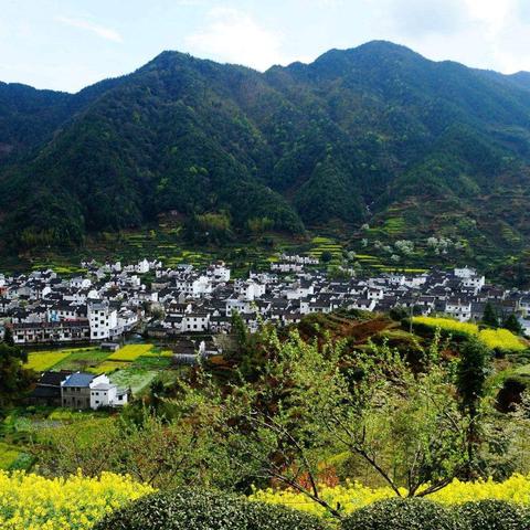 广州市白云区为什么人口最多