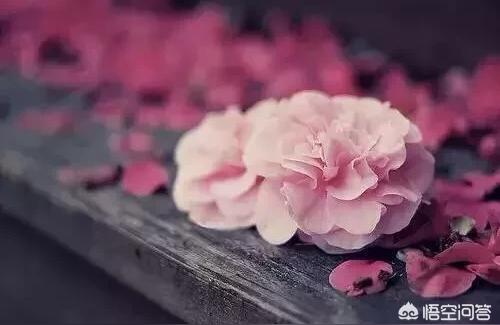 紫薇斗数算结婚单身有错吗