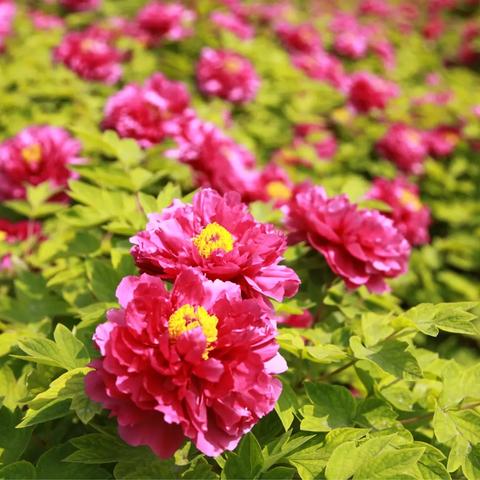 河南五点日落的相关长尾关键词有哪些