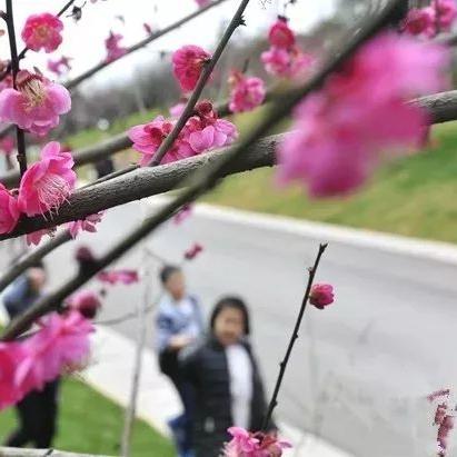 长沙市沙湾路是什么区