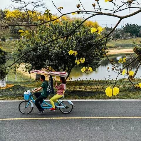 东莞市松山湖地方怎么样