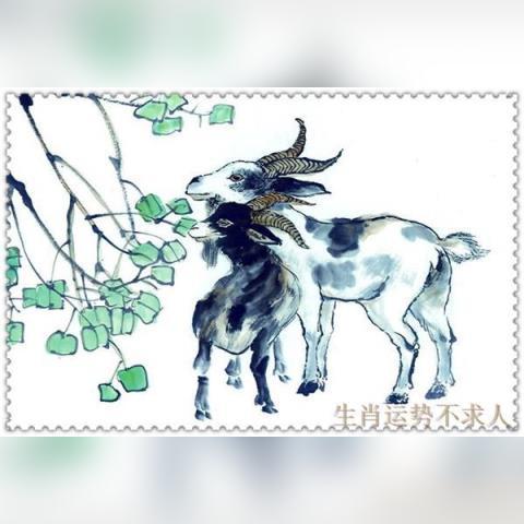生肖羊1931年运势如何(属羊的1931年能活几年)