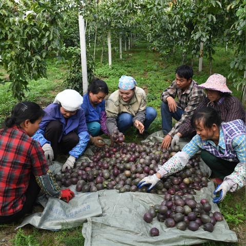南宁天气9月的相关长尾关键词有哪些