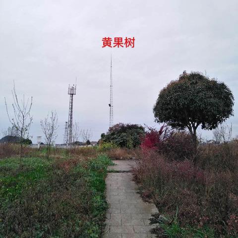 安顺黄果树天气预报的长尾关键词有哪些