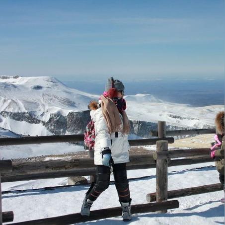 沈阳和哈尔滨面积哪个大？