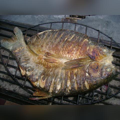 【天津炭烤鱼】长尾关键词有什么