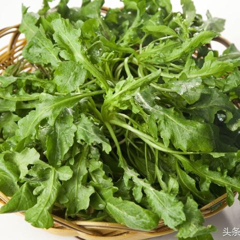 石家庄市野菜市场在哪里