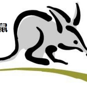 生肖鼠未来几年运势(属鼠的未来十年命运卜易居)