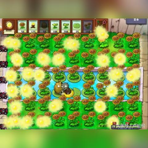 僵尸大战植物（僵尸与植物的战争，一场独特的对抗之旅）