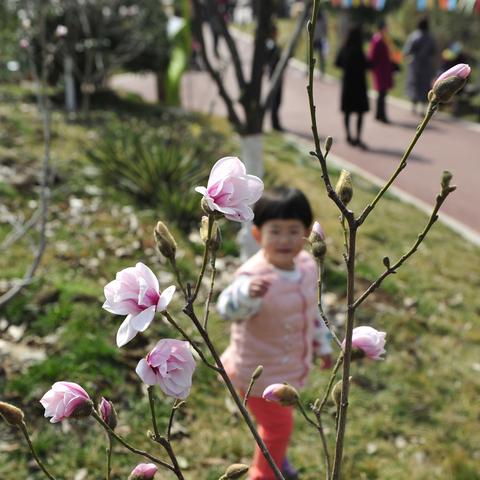 西安市31中初中怎么样