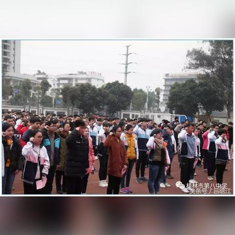 桂林市八中的地址在哪里