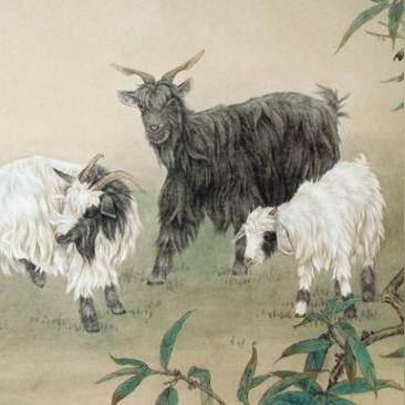 天德贵人天德合(何为天德贵人)