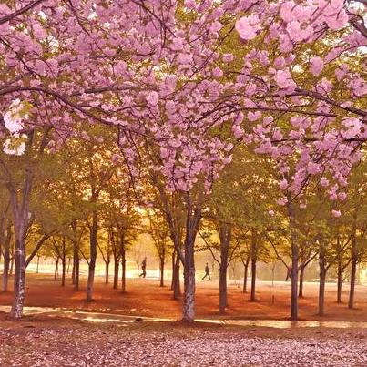 无锡市和福州哪里热