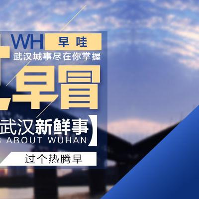 武汉市申报增值税在哪个APP