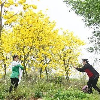 南宁市春风里楼盘怎么样