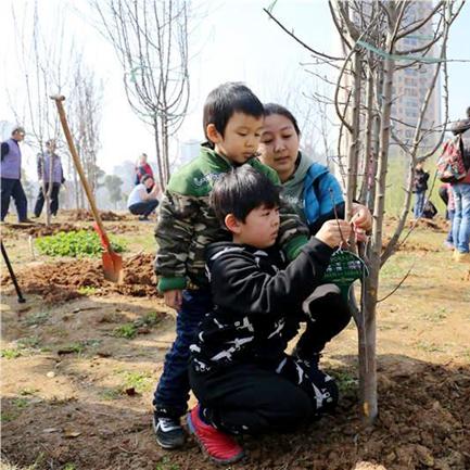 武汉市种什么树木