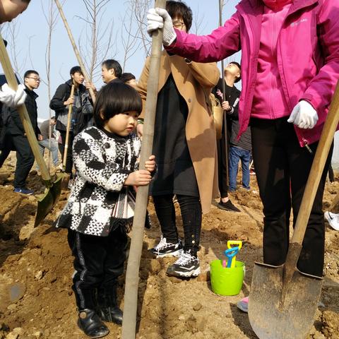 临沂市哪里有玉兰花