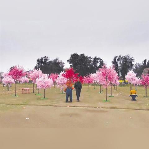 温州市最贵的庄园在哪里