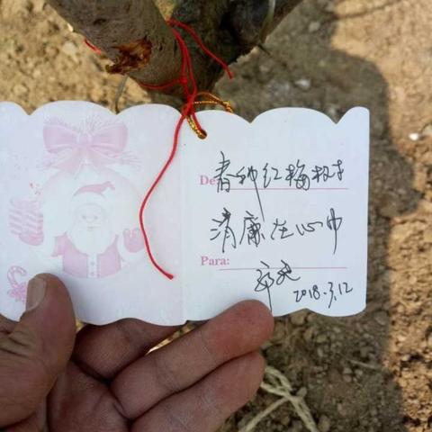 深圳市森讯商贸怎么样啊