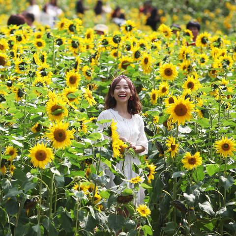 深圳市的市民广场叫什么