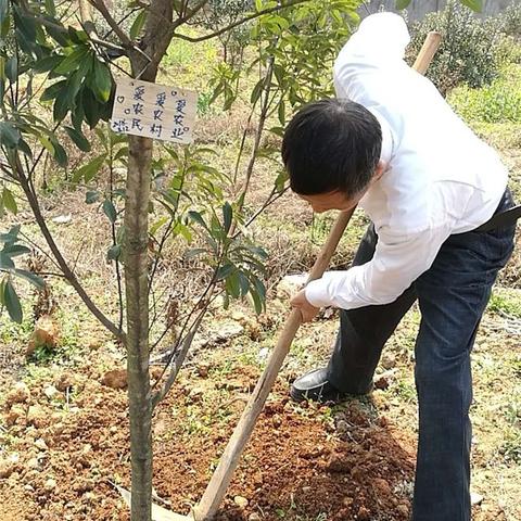 长沙航空职业技术跳马校区多大？