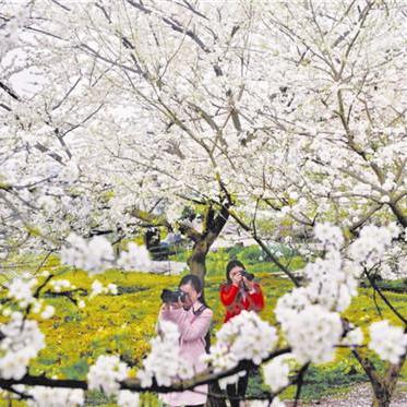 我的故乡温州市介绍的长尾关键词有哪些