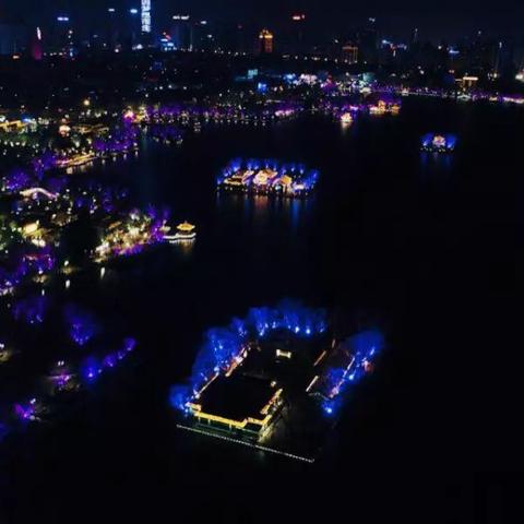 目前济南市场什么菜最贵